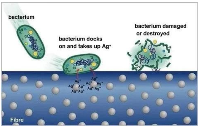 銀離子共混改性纖維抗菌機理.png